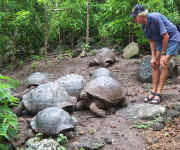 Erik and baby tortoises.jpg (123880 bytes)